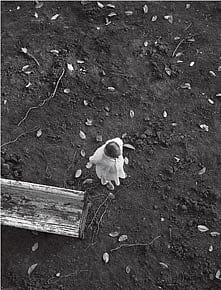 The Shape of Emptiness