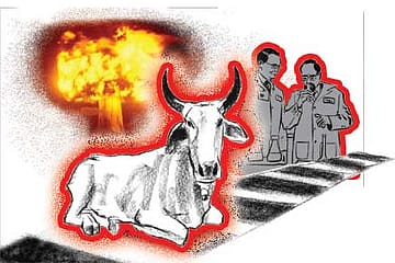 The Power of Nonsense