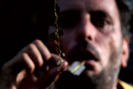 Evangelists of Logic