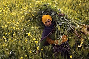 Resisting the Trade Spaghetti Bowl