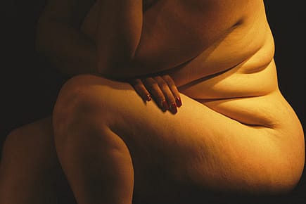 Diary of a Large Girl