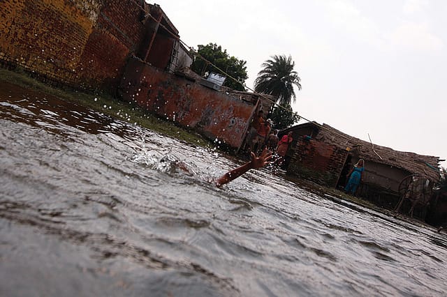 After the Flood After the Flood