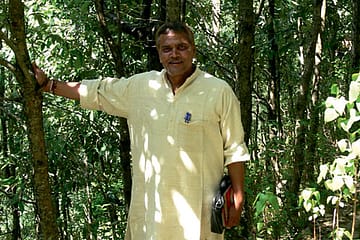 How to Make a Forest