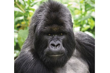 Now, This Guy Can Be Your Facebook Buddie Now, This Guy Can Be Your Facebook Buddie