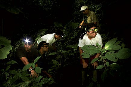 The Frogman of India