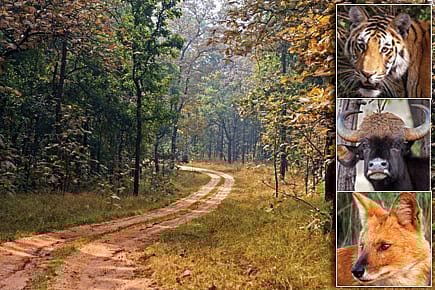 Surrendering the Last Frontier