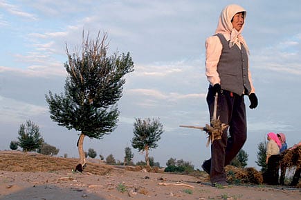 Grand ideas for a greener world