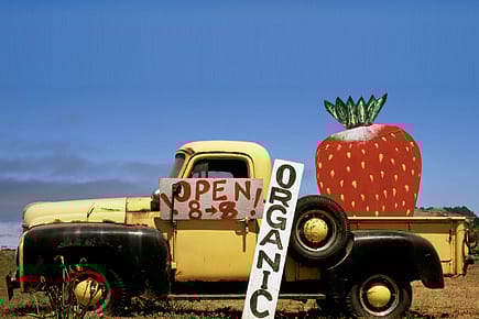 The Thing About Trendy Green