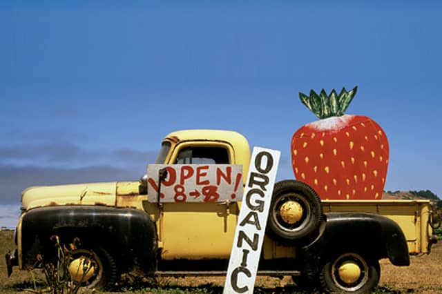 The Thing About Trendy Green