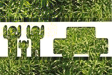 The Difficulty of Being a Green Spouse