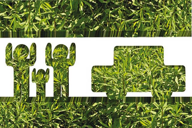 The Difficulty of Being a Green Spouse