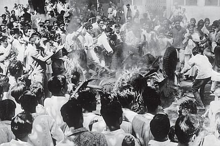 Minorities and the Mob