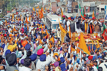 The Veteran Debutant