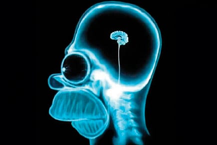 Why Human Brains Are Shrinking