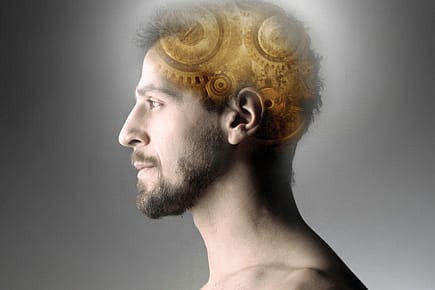 Men: Bigger and Smarter Men: Bigger and Smarter