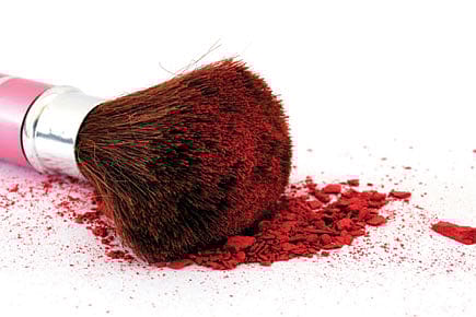 A brand you endorse uses animal extracts. As an animal lover, what do you do?