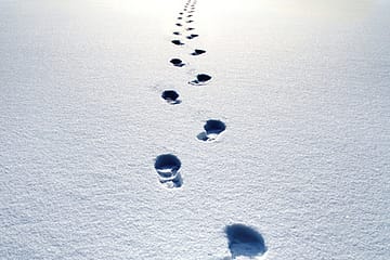Wandering Minds Gather No Joys