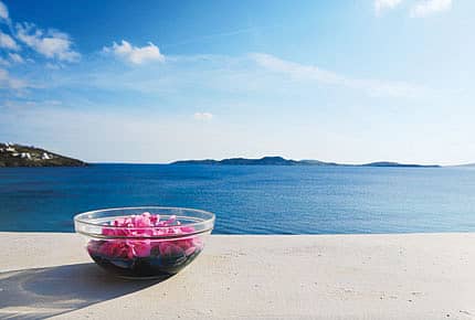 Ultimately, It’s Your Nose