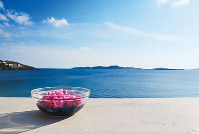 Ultimately, It’s Your Nose