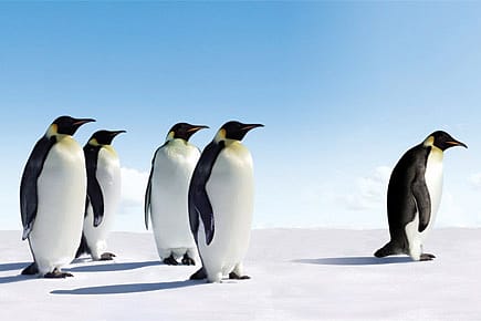 A Gene that Makes You Ache