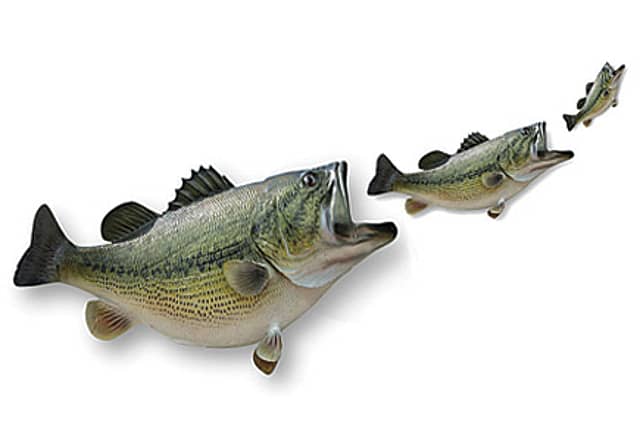 Hierarchy Begins at Home