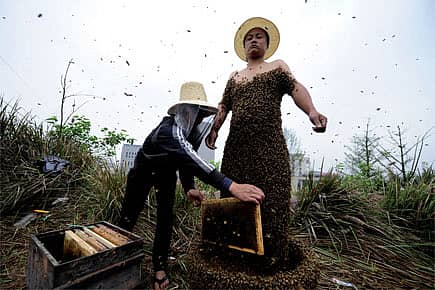 Honey Laundering