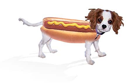 It’s a Man-Eat-Dog World