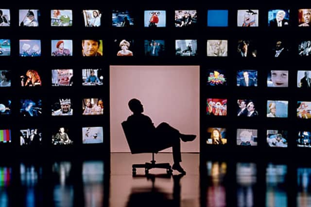 The Education of the Idiot Box