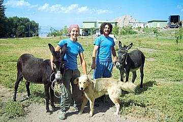 A Case of Braying Guests