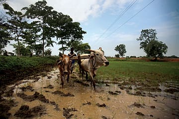Jatland in Chhattisgarh