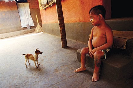 Kerala versus Endosulfan