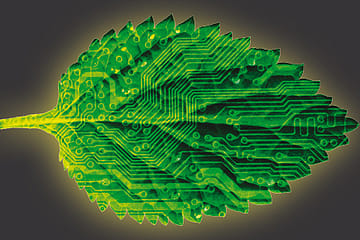 The Revolution’s New Leaf