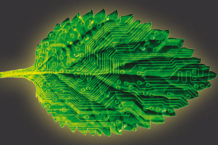 The Revolution’s New Leaf