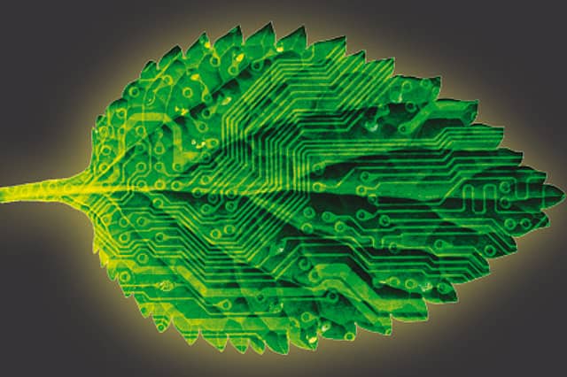 The Revolution’s New Leaf