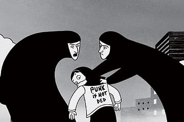 What Do You Call Picture Books for Adults?