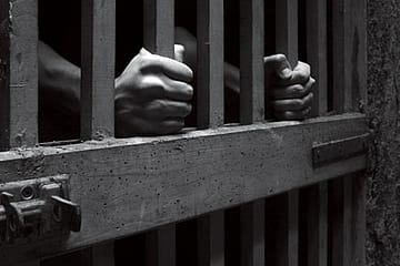 Kidnapped by the State