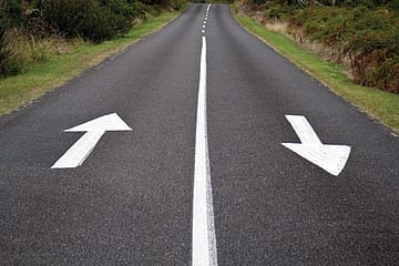 Neither a Jungle nor a Web