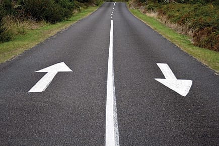 Neither a Jungle nor a Web Neither a Jungle nor a Web