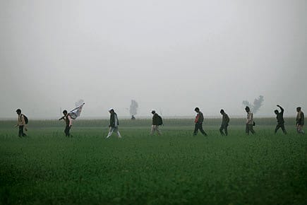 The Walk and Other Stories