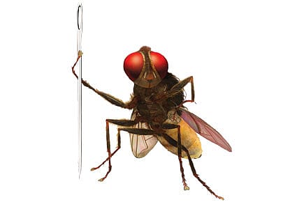 With Cinema Halls All Abuzz