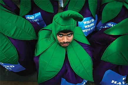 A Recipe for Disaster