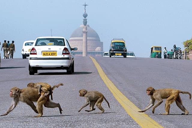 Do We Really Need a Capital?