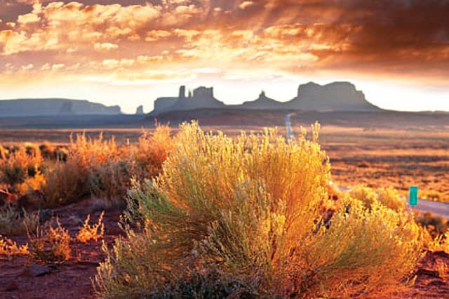 Meditation, Zebra Steak and Doughnuts in the Sky