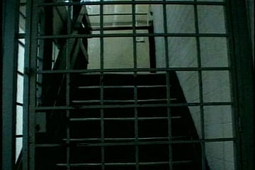 Collateral Damage, You Say?