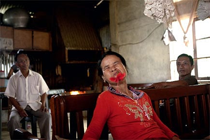 Mizoram’s Wild Flower