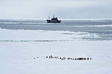 Moby Dick’s Avenger