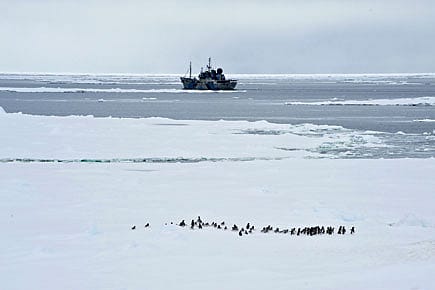 Moby Dick’s Avenger