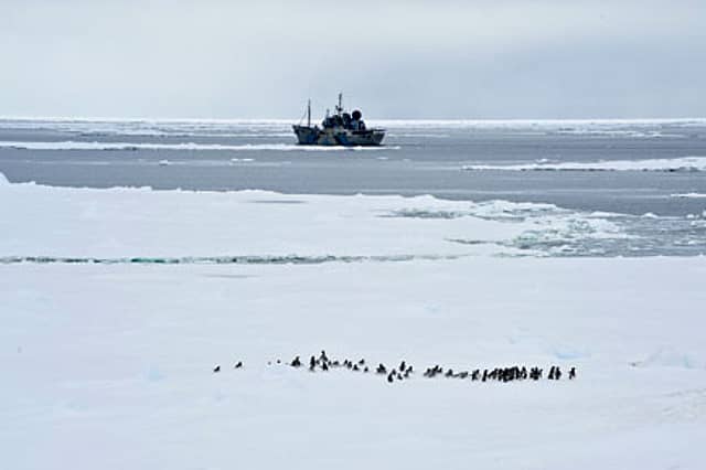 Moby Dick’s Avenger