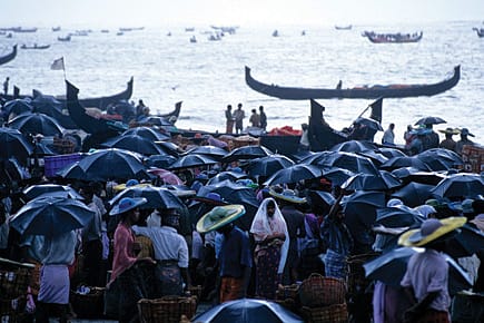 Mercurial Monsoon Mercurial Monsoon