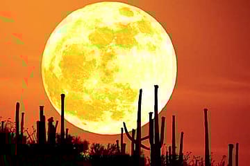 Now, This Moon Mission Sounds Good